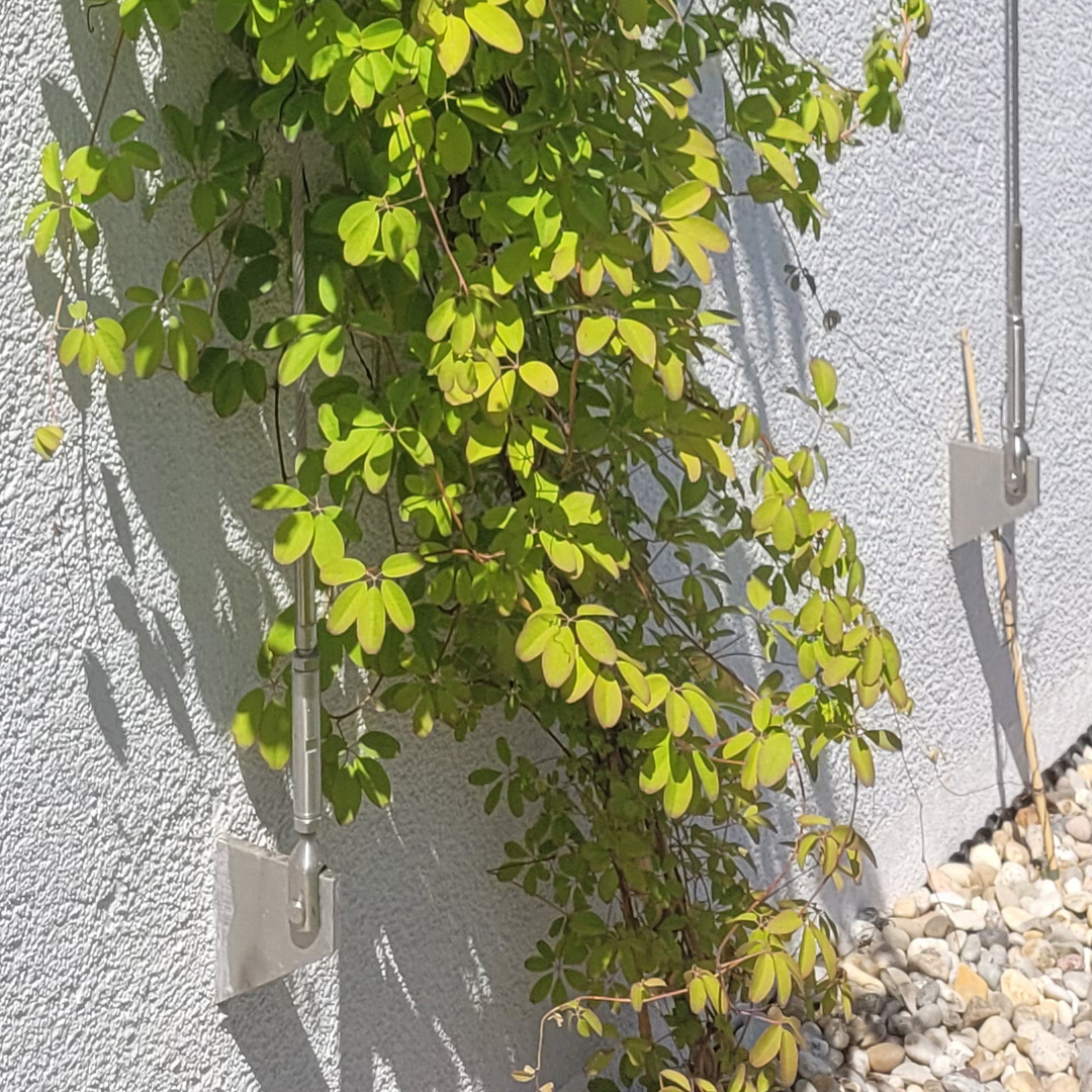 Greencable-Konsole-2