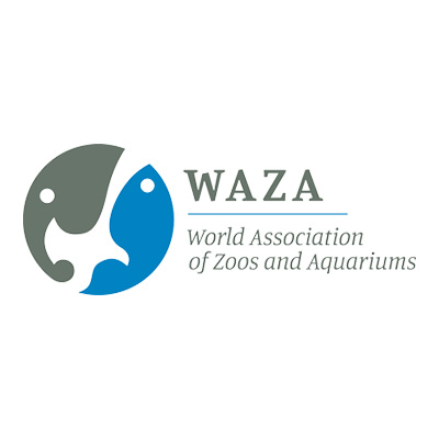 WAZA-400-x-400-px